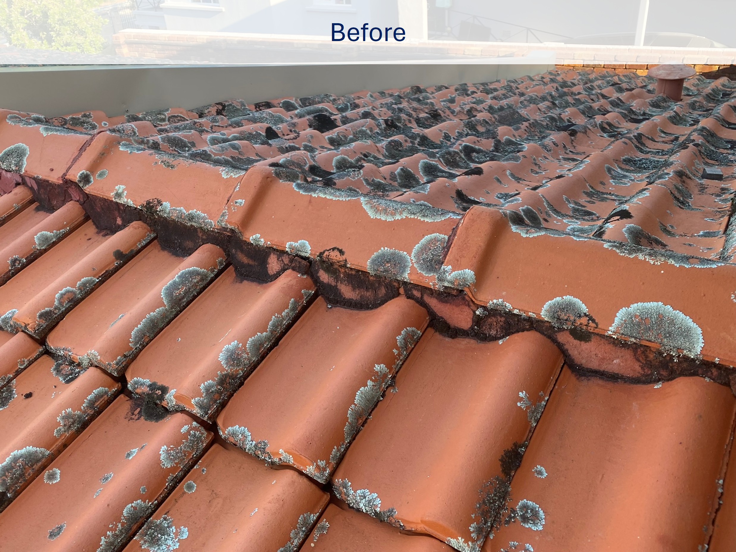 Roof before pressure cleaning