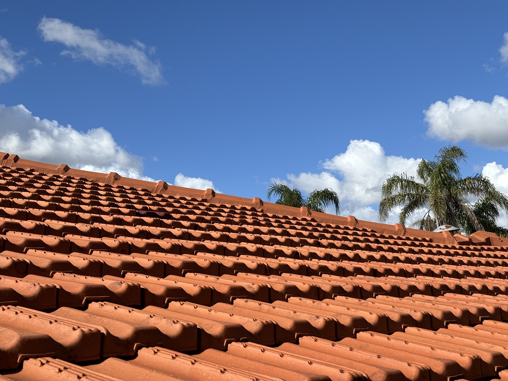 Restored tiled roof
