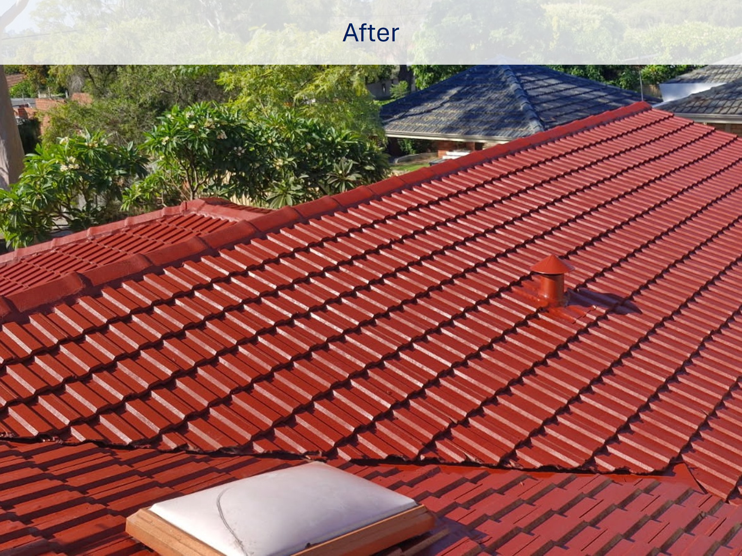 Roof after painting