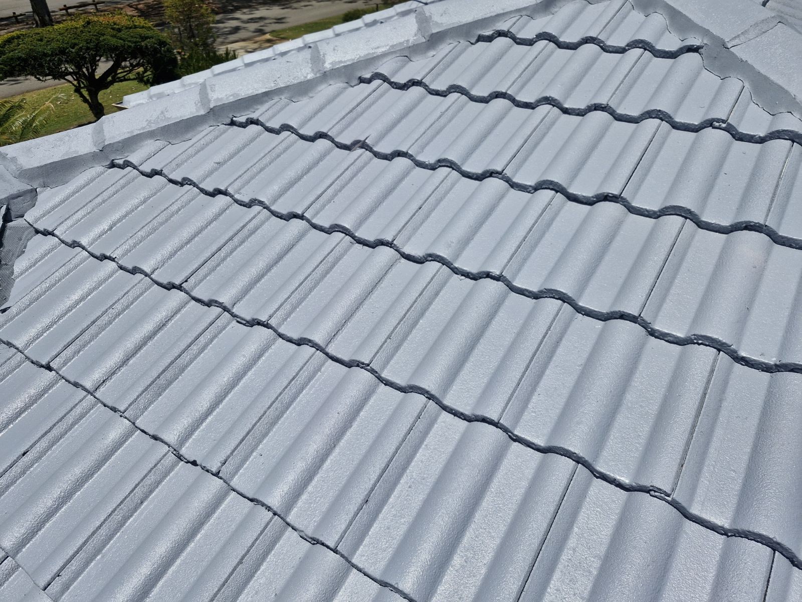 Roof after painting