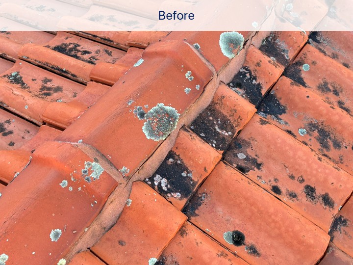 Repointed ridge caps